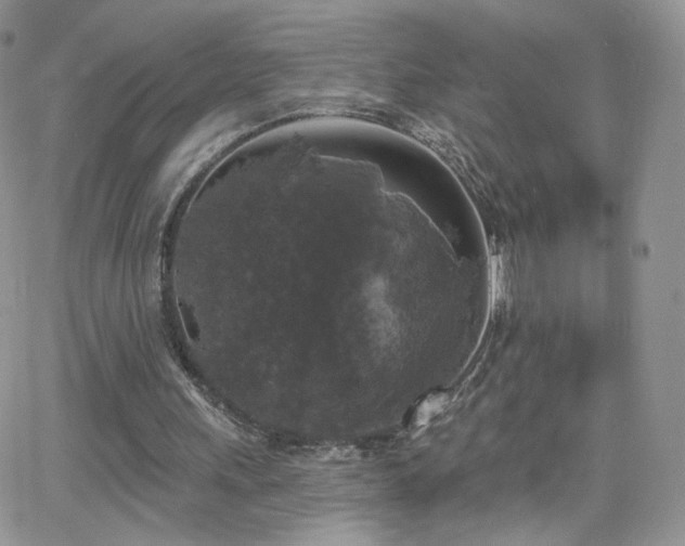 X0000066970243200603271215