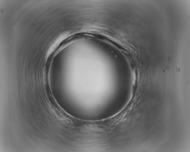 X0000066970244200603271215