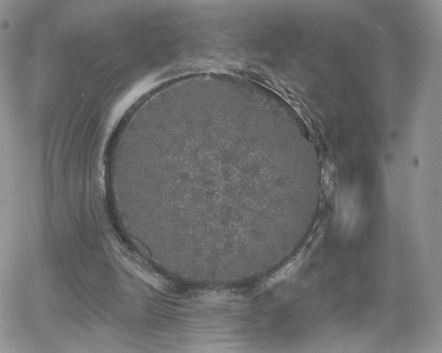 X0000066970246200603271215