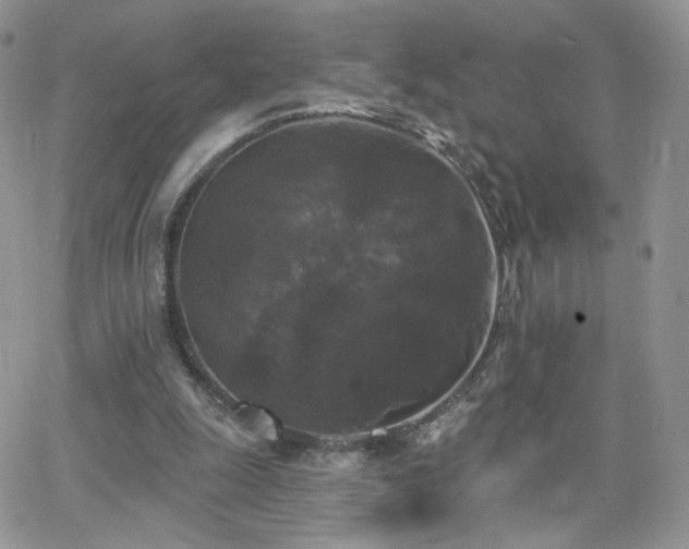 X0000066970247200603271215