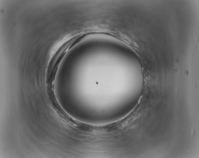 X0000066970248200603271215