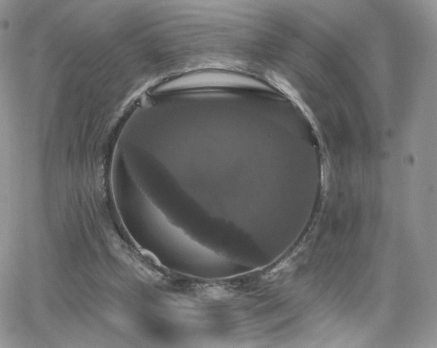 X0000066970249200603271215