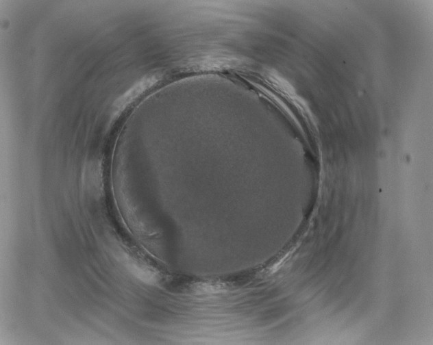 X0000066970250200603271215