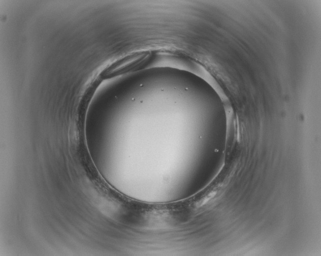 X0000066970252200603271215