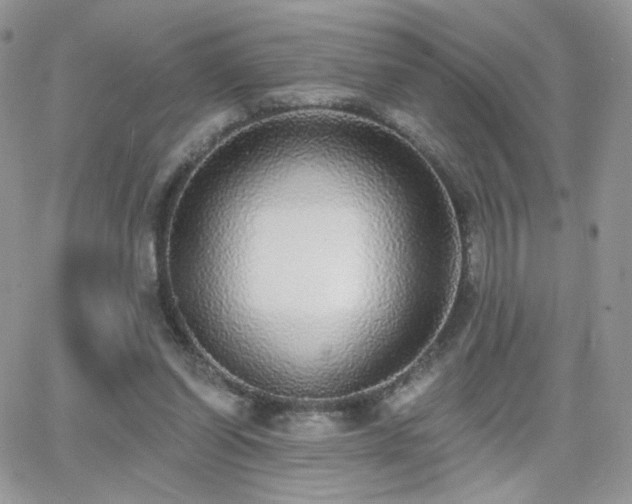 X0000066970254200603271215