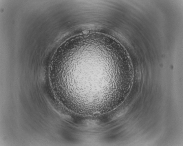 X0000066970255200603271215