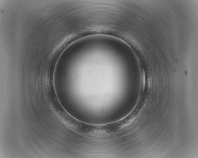 X0000066970256200603271215