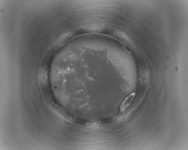 X0000066970259200603271215