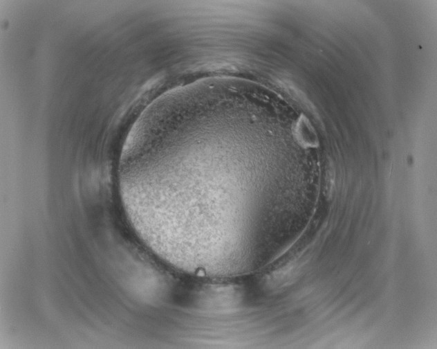 X0000066970260200603271215