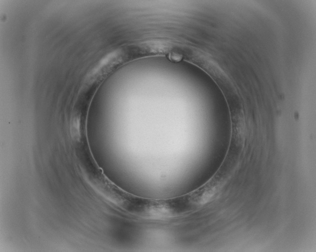 X0000066970262200603271215