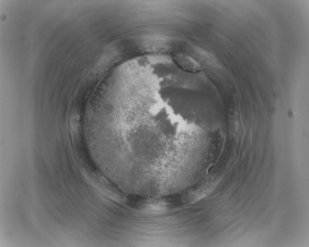 X0000066970263200603271215