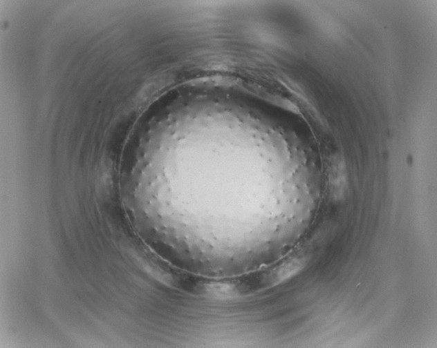 X0000066970265200603271215