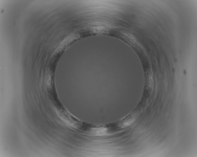 X0000066970266200603271215