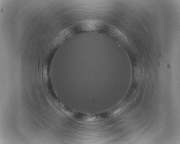 X0000066970267200603271216