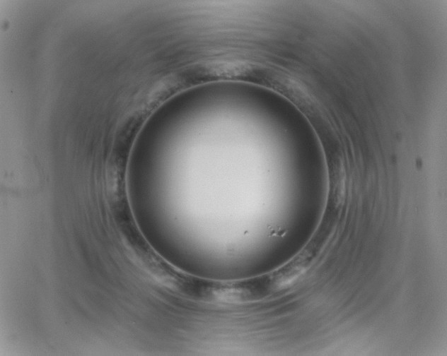 X0000066970268200603271216