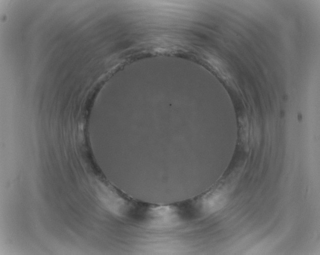 X0000066970269200603271216