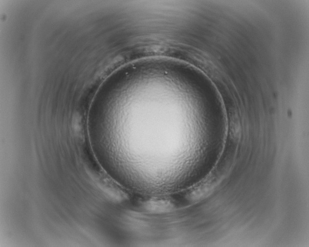 X0000066970270200603271216