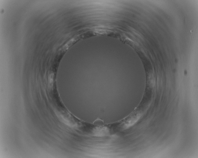 X0000066970271200603271216