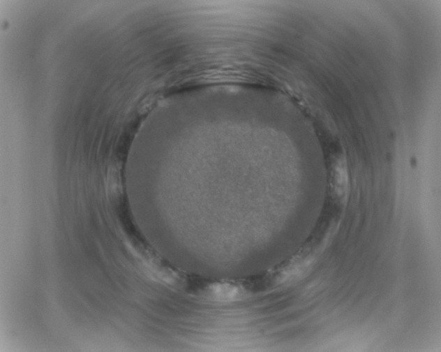 X0000066970272200603271216