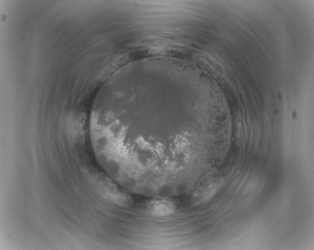 X0000066970275200603271216