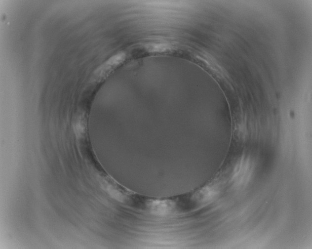 X0000066970277200603271216