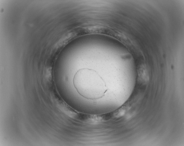 X0000066970278200603271216