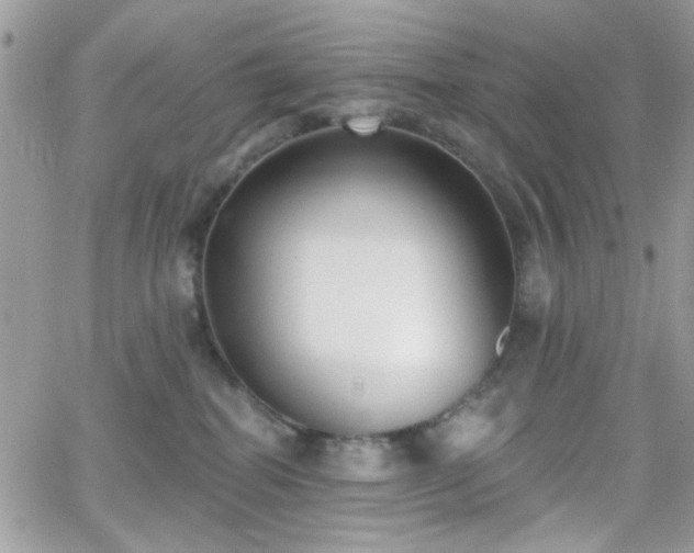 X0000066970282200603271216