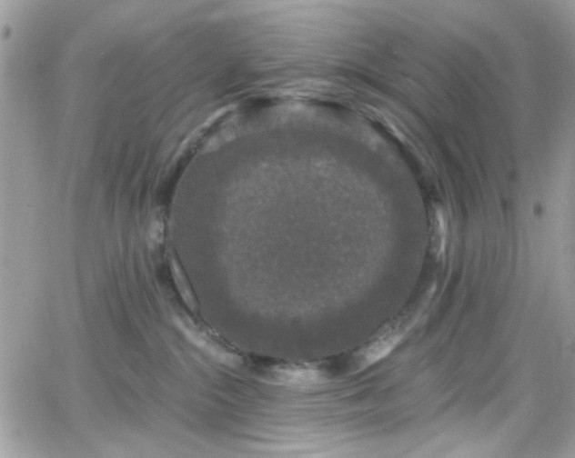 X0000066970284200603271216