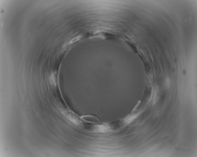 X0000066970286200603271216