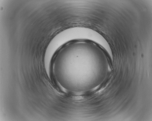 X0000066970287200603271216