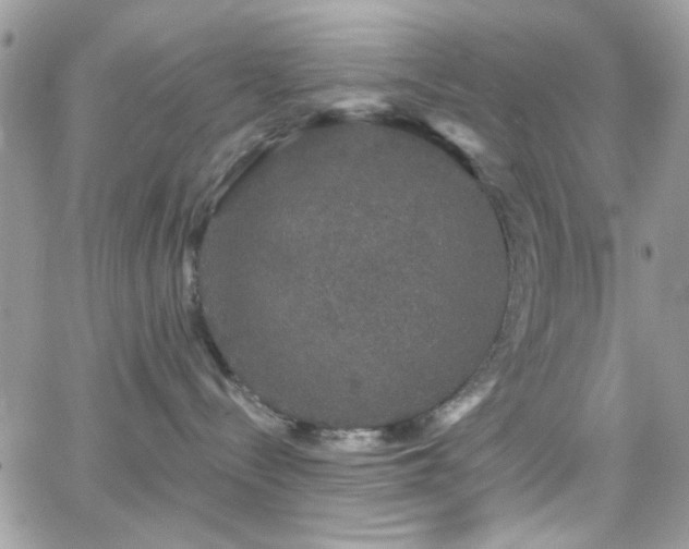 X0000066970288200603271216