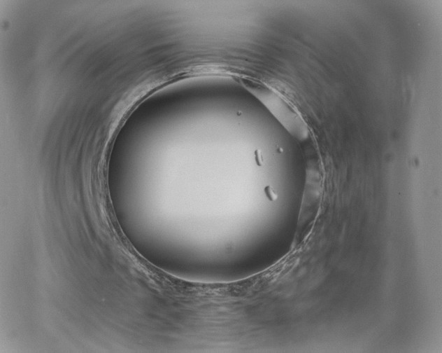 X0000066970289200603271215