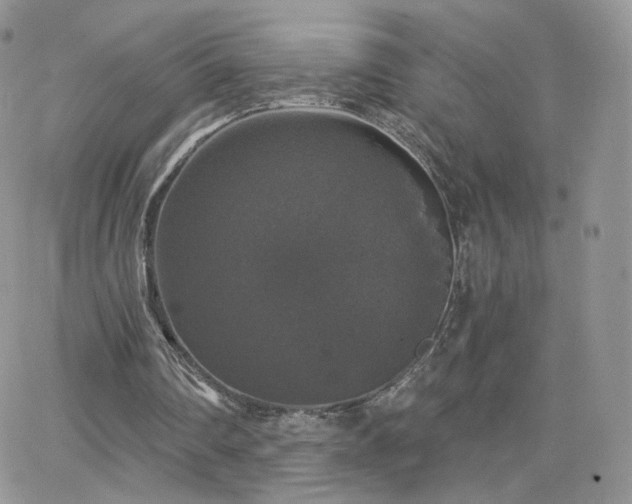 X0000066970290200603271215