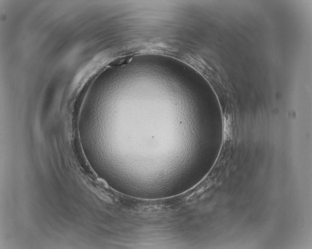 X0000066970291200603271215