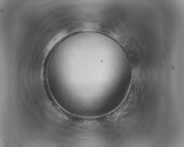 X0000066970292200603271215