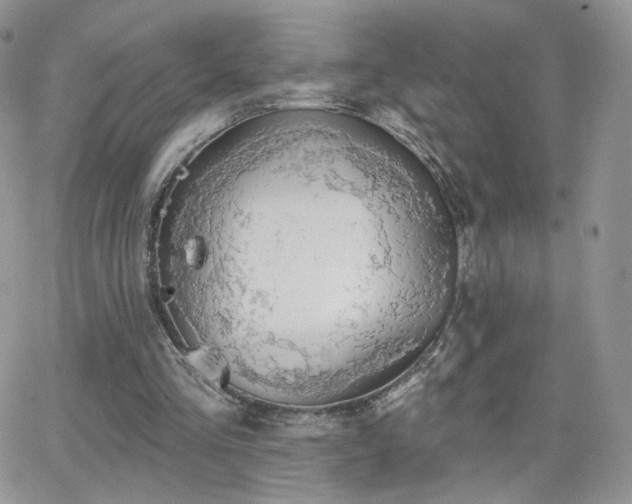 X0000066970293200603271215