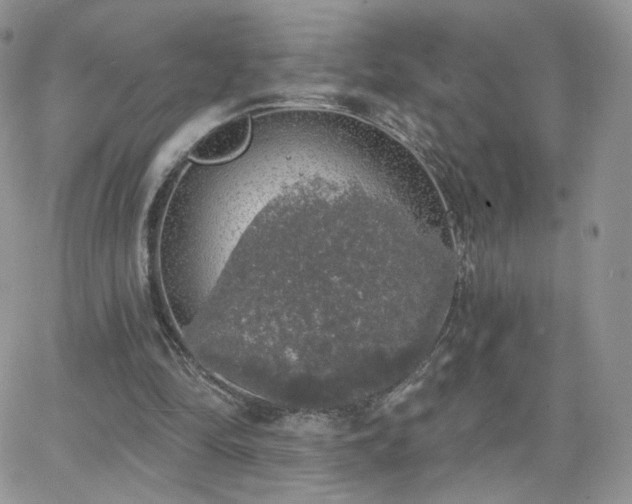 X0000066970294200603271215