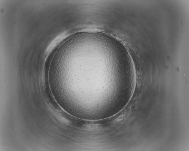 X0000066970296200603271215