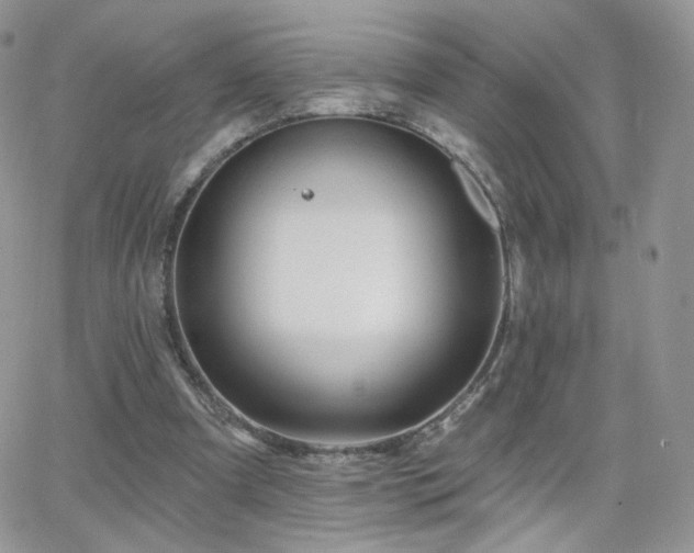 X0000066970297200603271215