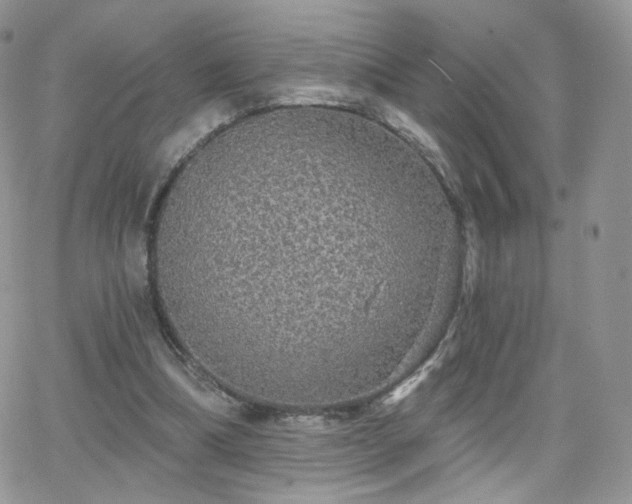 X0000066970298200603271215