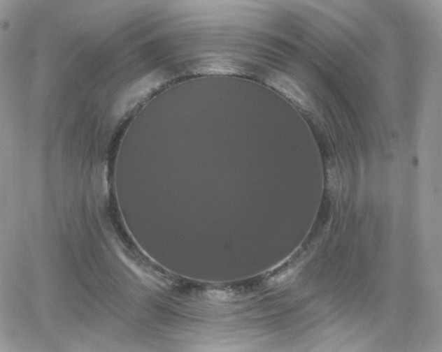 X0000066970302200603271215