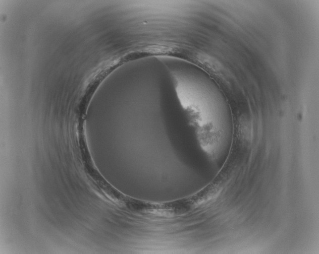 X0000066970303200603271215