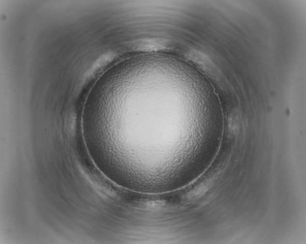 X0000066970304200603271215