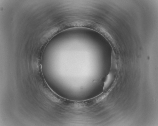 X0000066970305200603271215