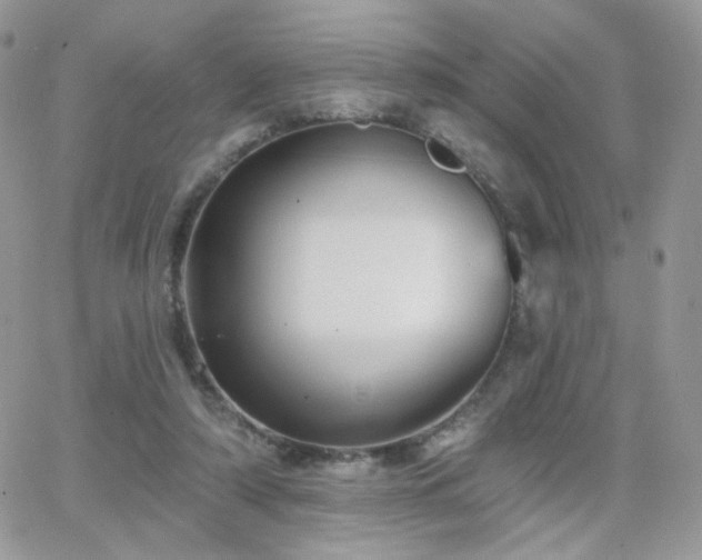 X0000066970306200603271215