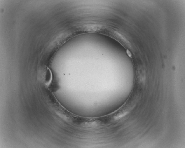 X0000066970307200603271215