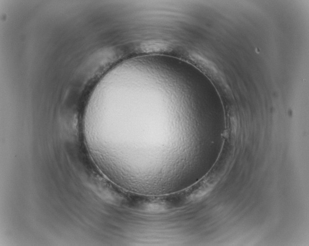 X0000066970308200603271215