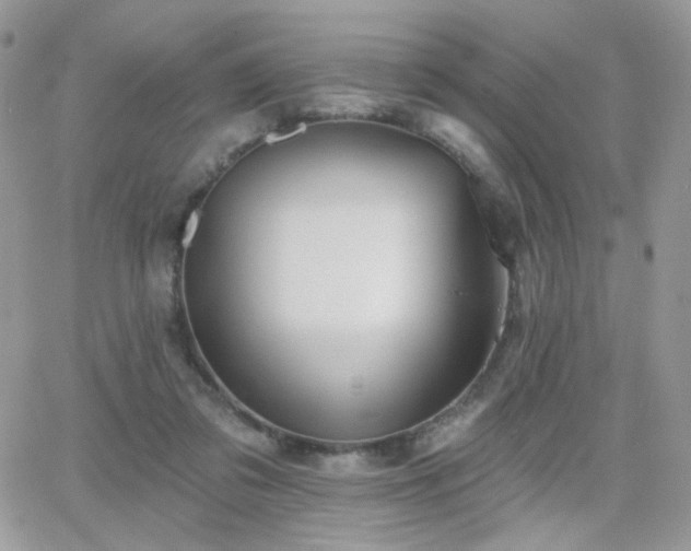 X0000066970309200603271215