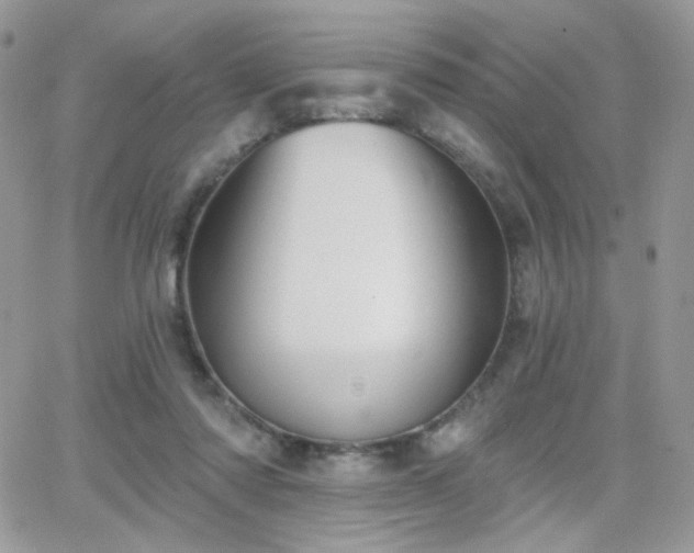 X0000066970310200603271215