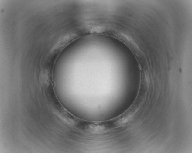 X0000066970311200603271215